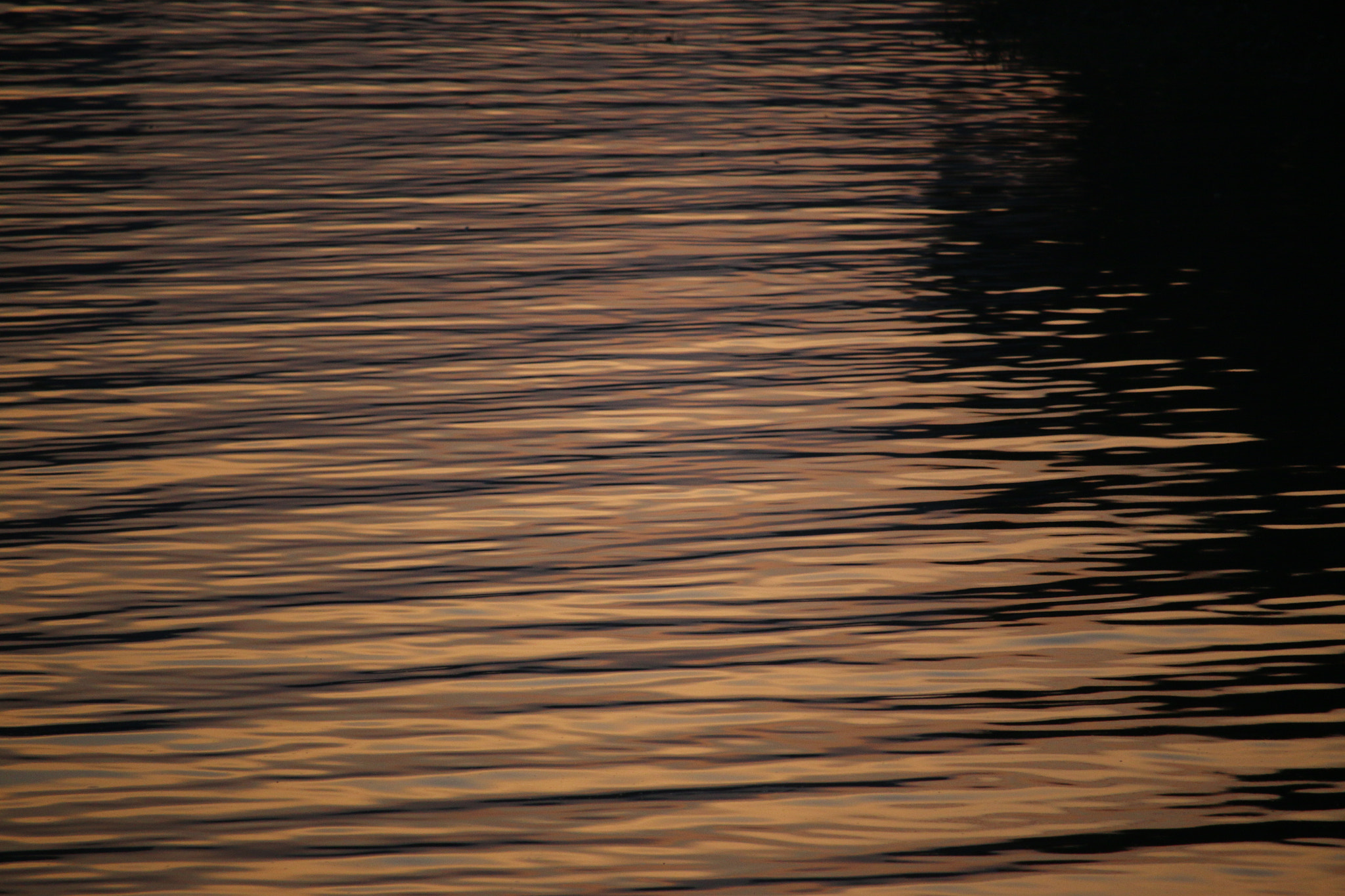 Canon EF-S 55-250mm F4-5.6 IS STM sample photo. Img photography