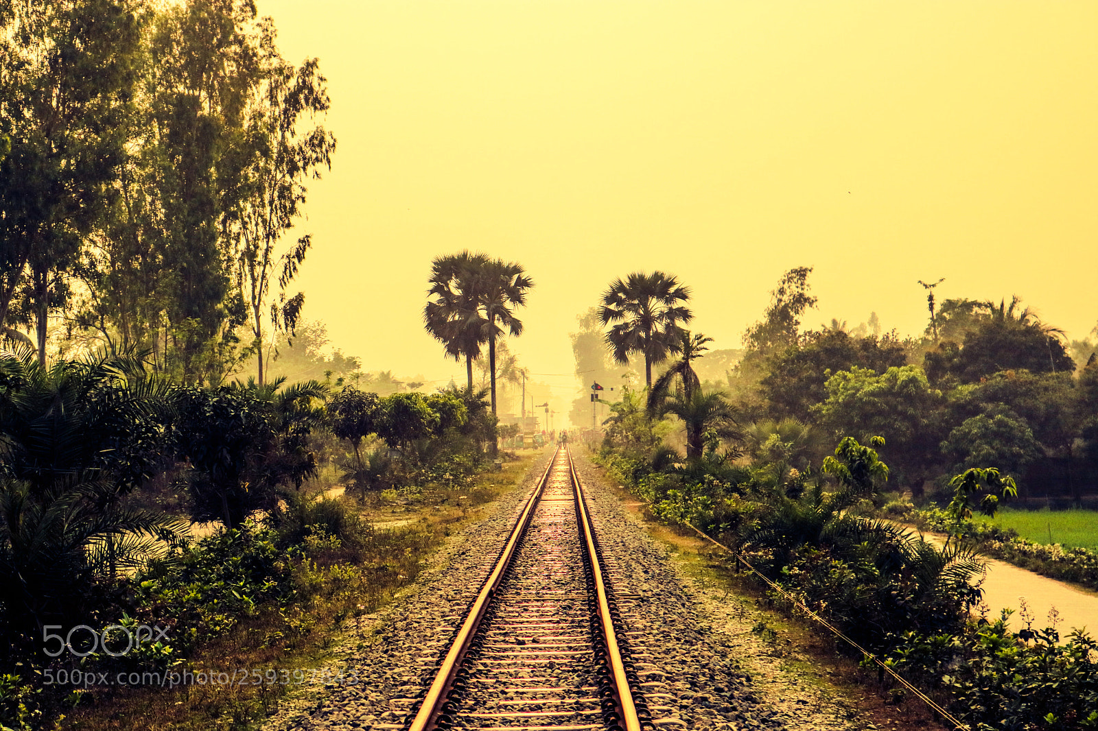 Canon EOS 750D (EOS Rebel T6i / EOS Kiss X8i) sample photo. Bangladesh train track photography