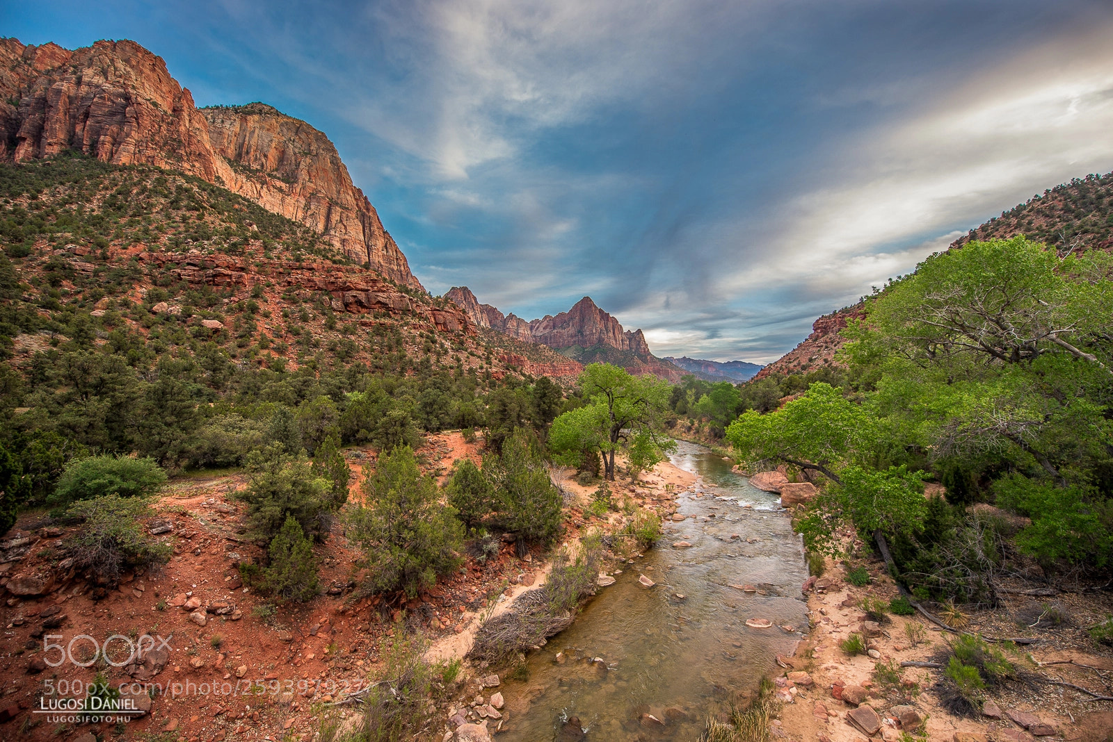 Nikon D610 sample photo. Zion photography
