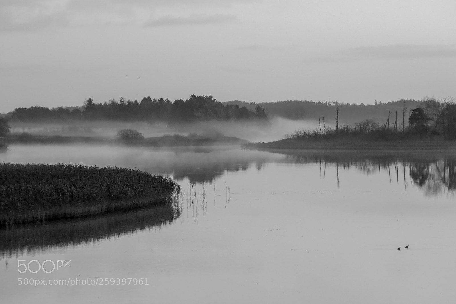 Panasonic Lumix DMC-ZS100 (Lumix DMC-TZ100) sample photo. Foggy morning photography