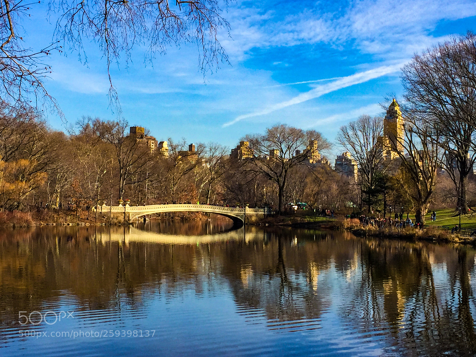 Apple iPhone 6 Plus sample photo. Bridge in central park photography