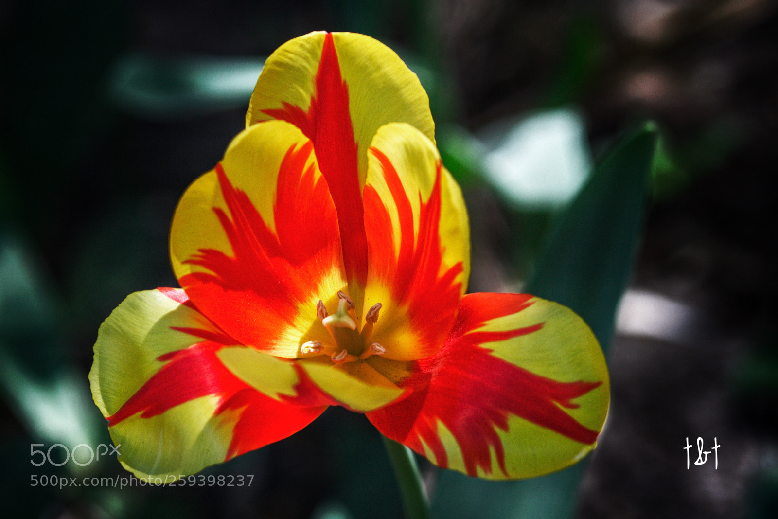 Canon EOS 7D sample photo. Untitled photography