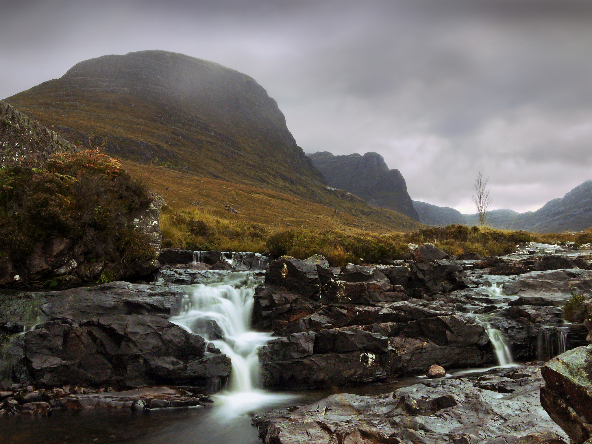 Panasonic Lumix DMC-GF1 sample photo. A little tree grows in applecross photography