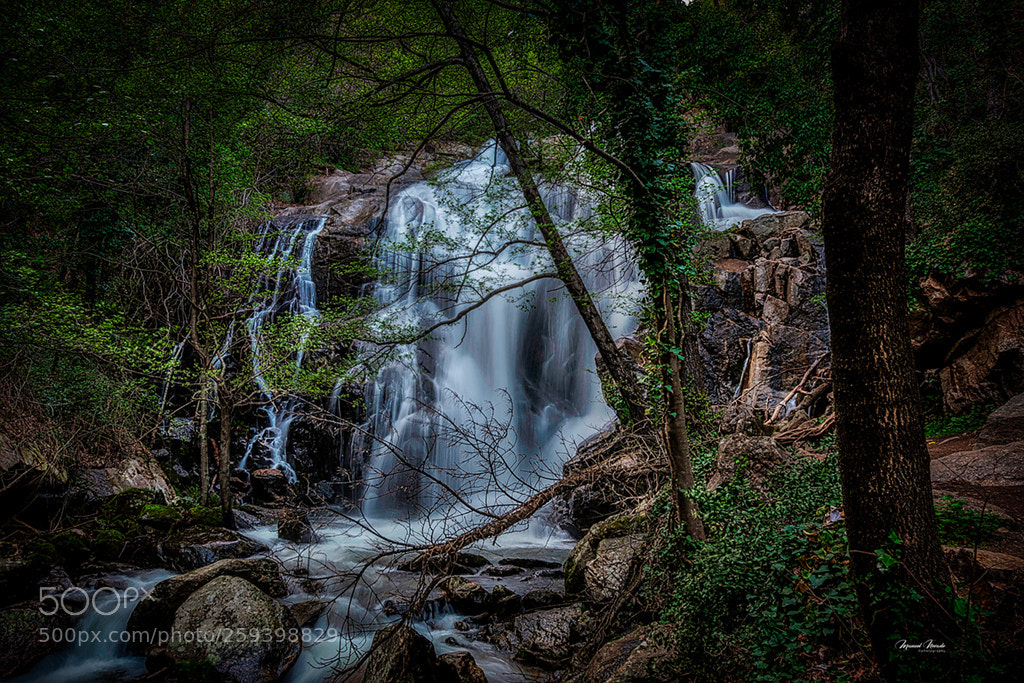 Nikon D750 sample photo. Nogaledas, valle del jerte... photography