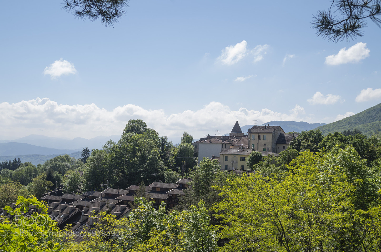Pentax K-30 sample photo. Vidiciatico photography