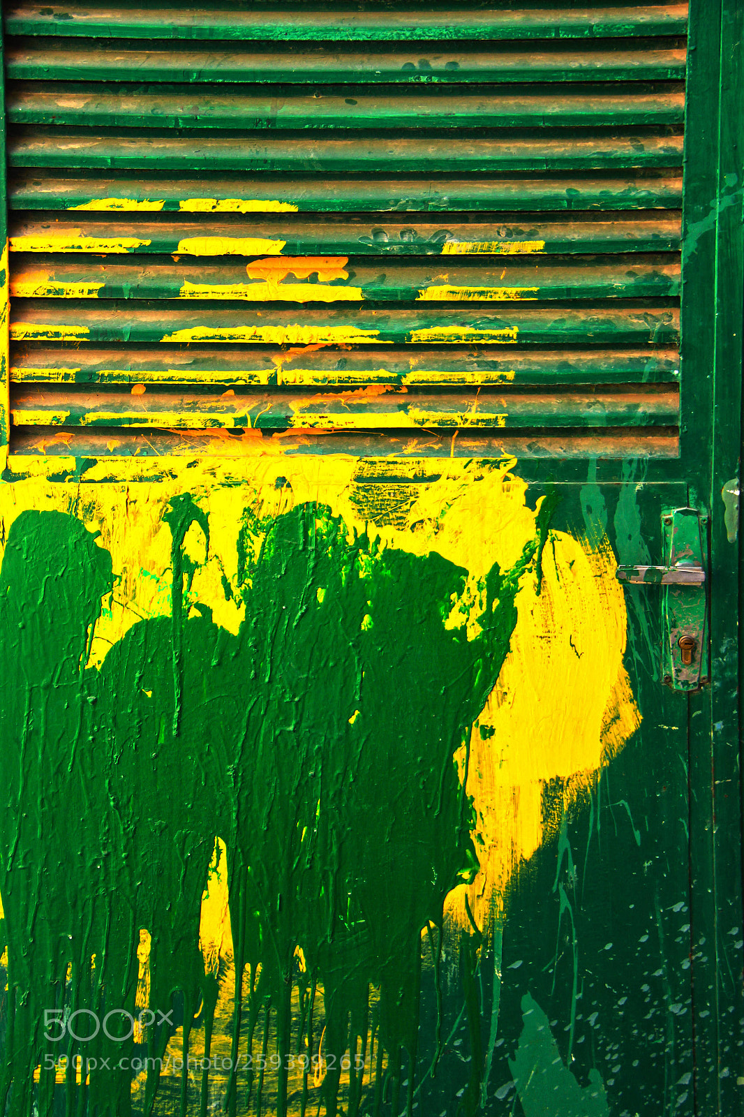 Canon EOS 600D (Rebel EOS T3i / EOS Kiss X5) sample photo. Green ♥ photography