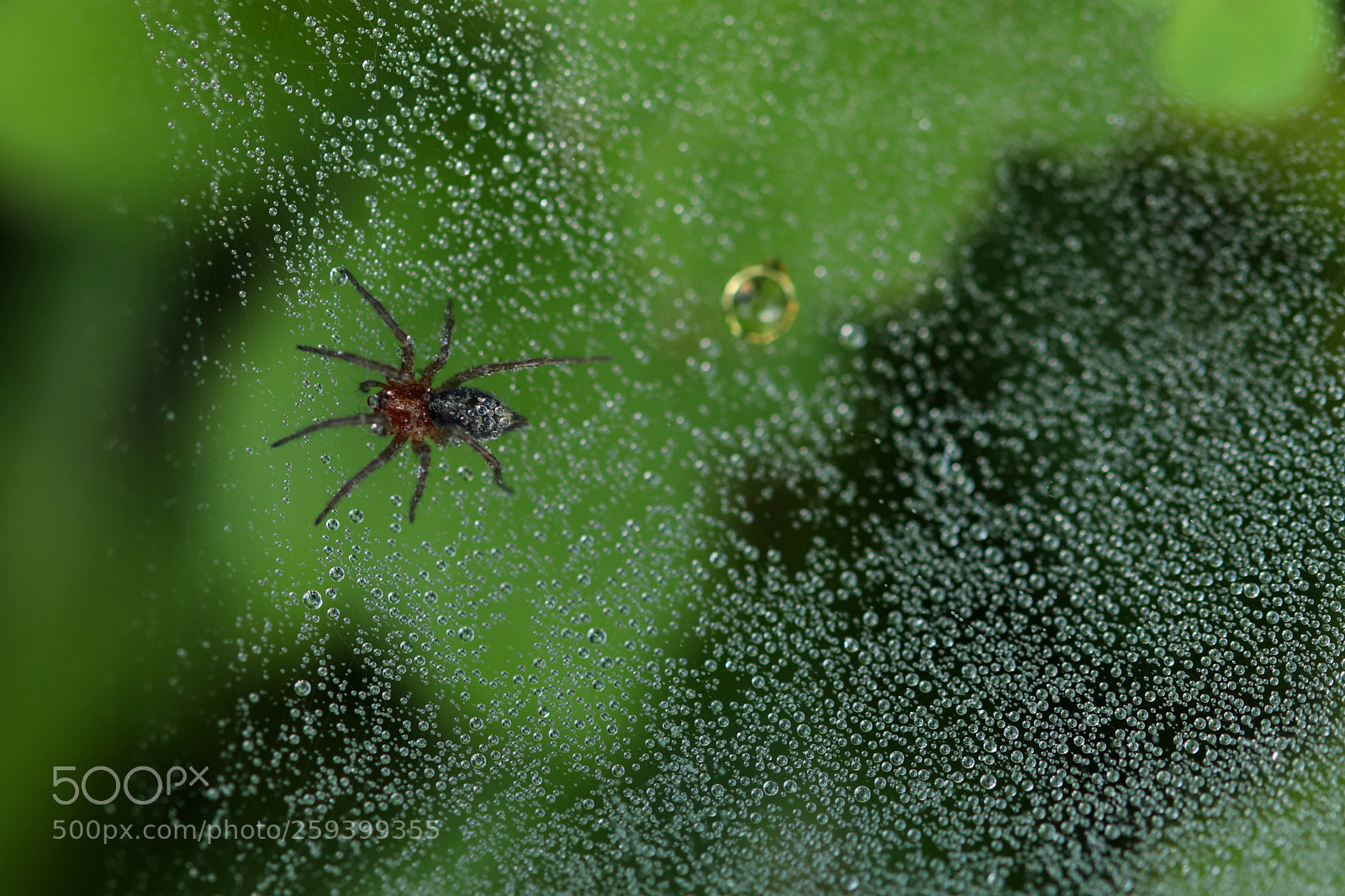 Canon EOS 77D (EOS 9000D / EOS 770D) sample photo. L eau et l photography