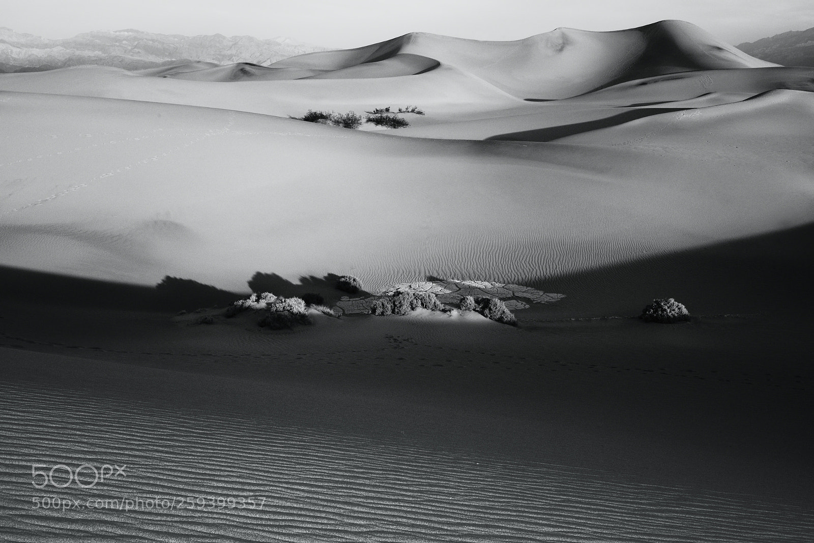 Nikon D810 sample photo. Dunes at dawn photography