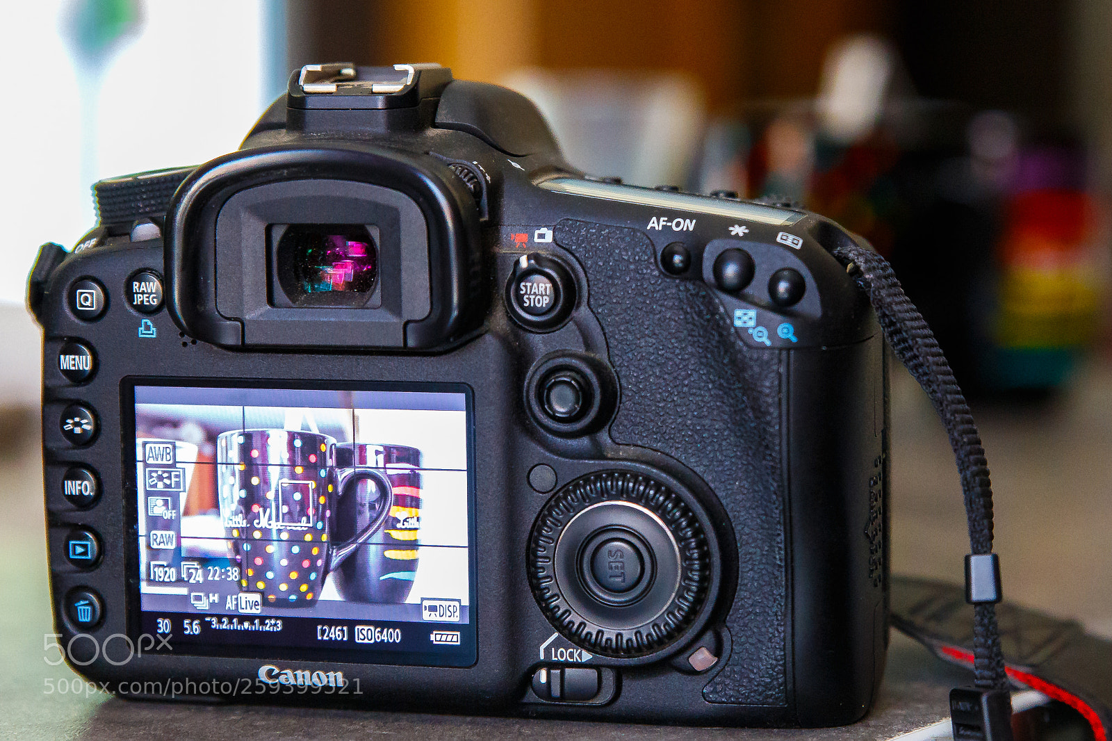 Canon EOS 6D sample photo. Live view photography