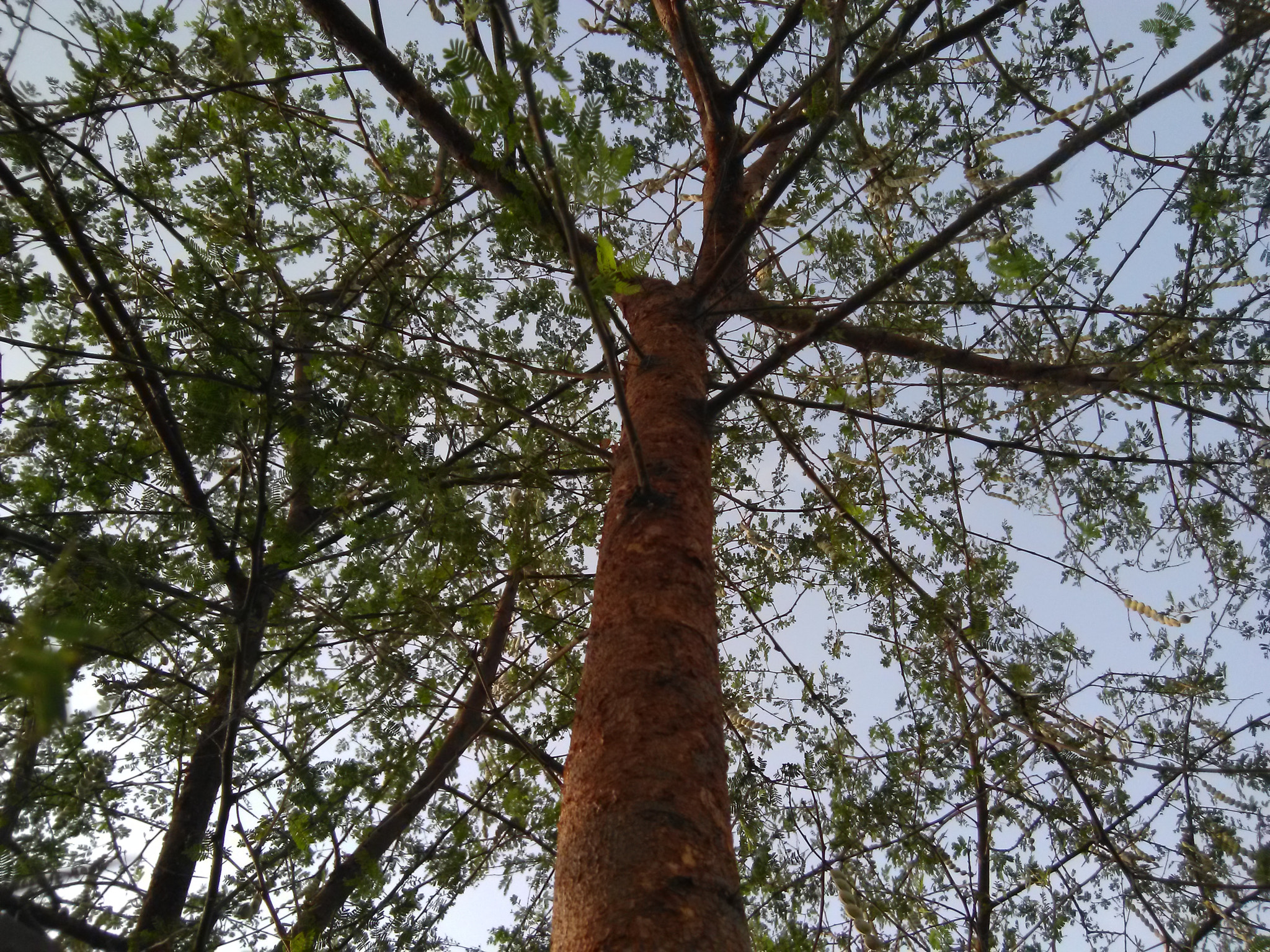 HMD Global Nokia 2 sample photo. Img_20180420_065955.jpg photography