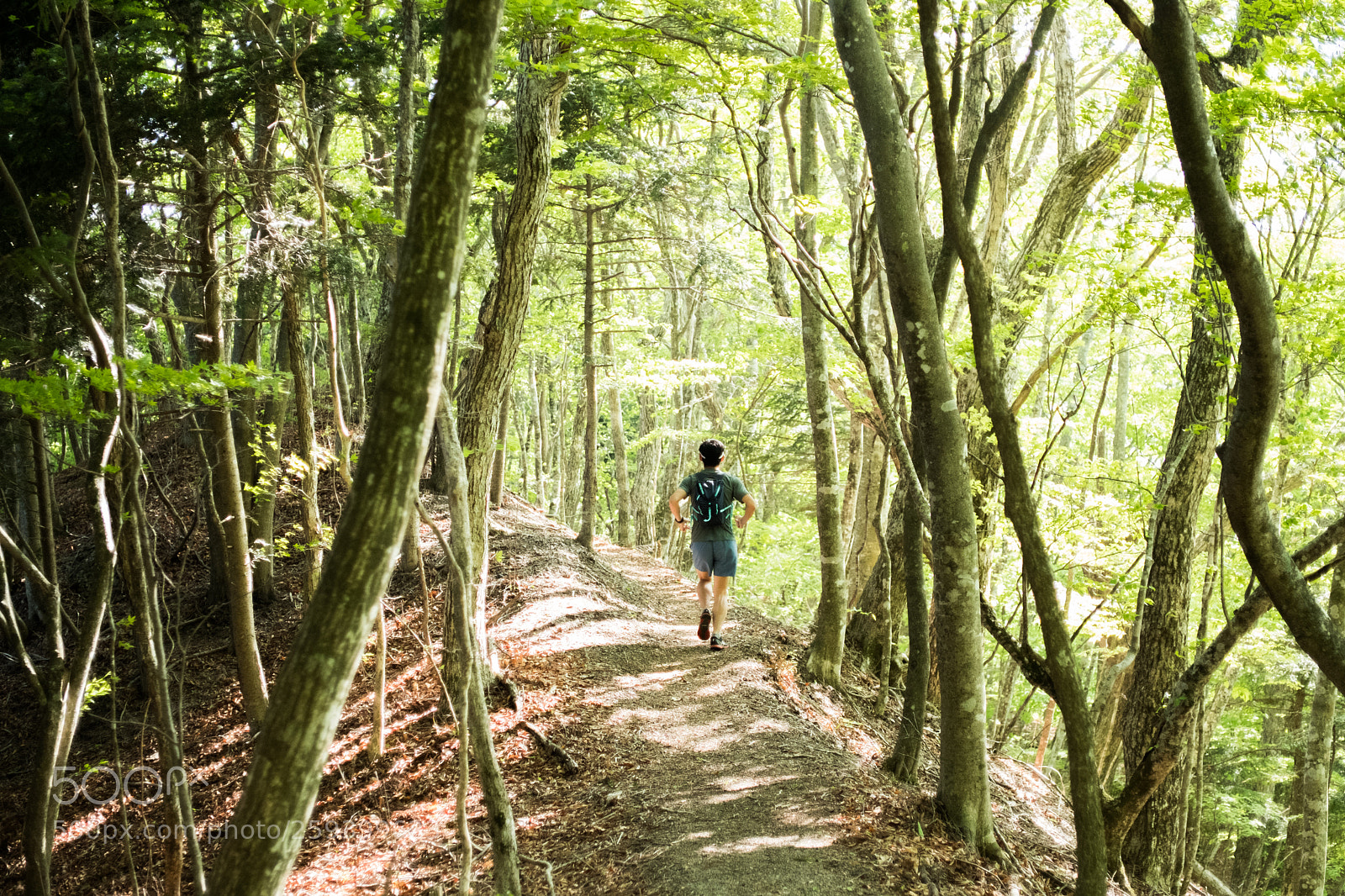 Fujifilm X-T2 sample photo. Trail running _ 001 photography