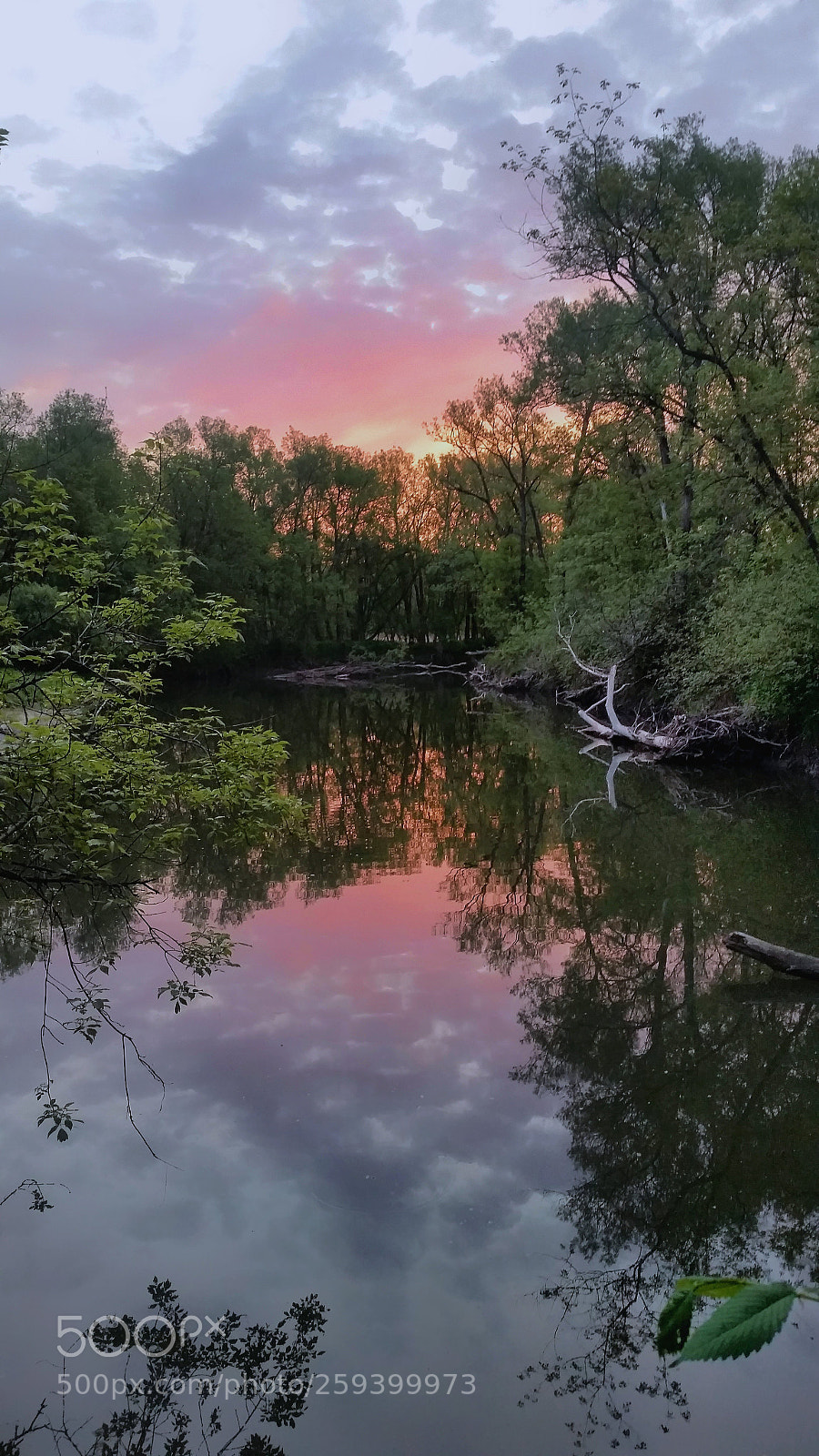 Samsung Galaxy S5 sample photo. Highland creek photography