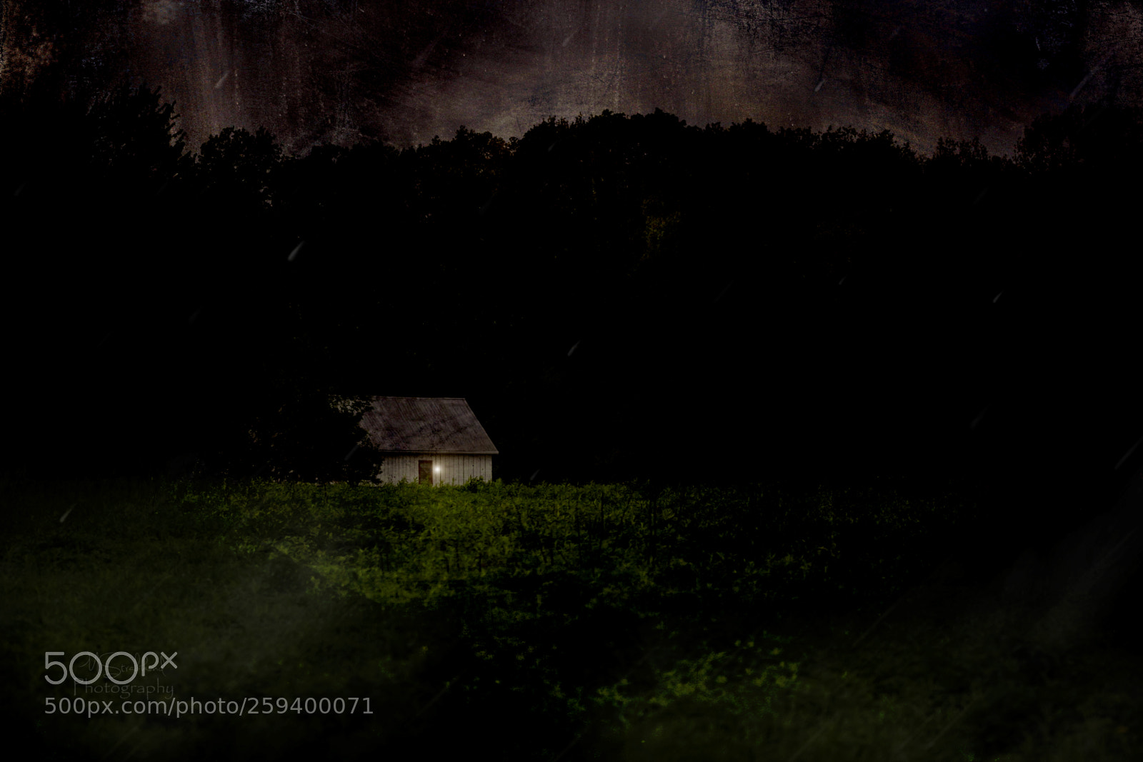 Canon EOS 7D Mark II sample photo. She left the light photography