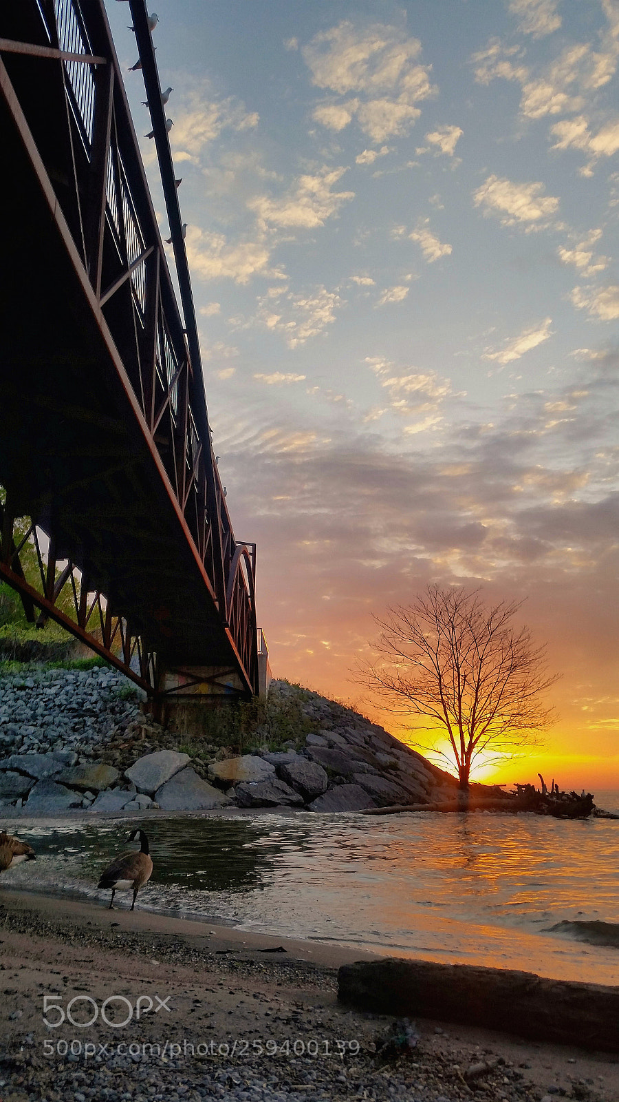 Samsung Galaxy S5 sample photo. Beside the bridge photography