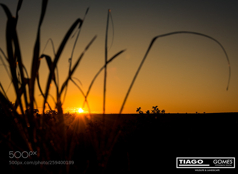 Nikon D7100 sample photo. Um novo dia photography