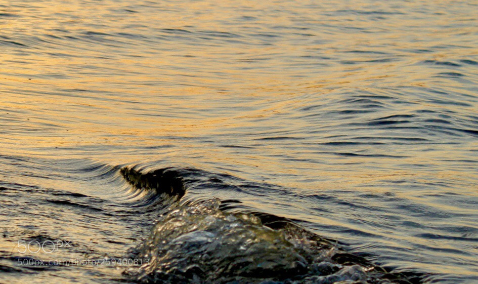 Canon EOS 1300D (EOS Rebel T6 / EOS Kiss X80) sample photo. Tide at sunset photography