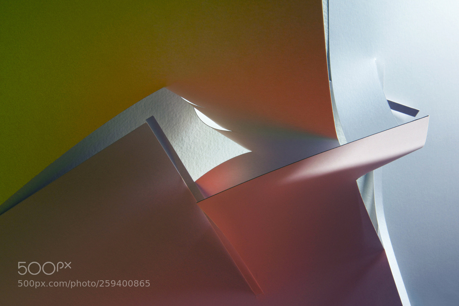 Nikon D810 sample photo. Sticking out photography