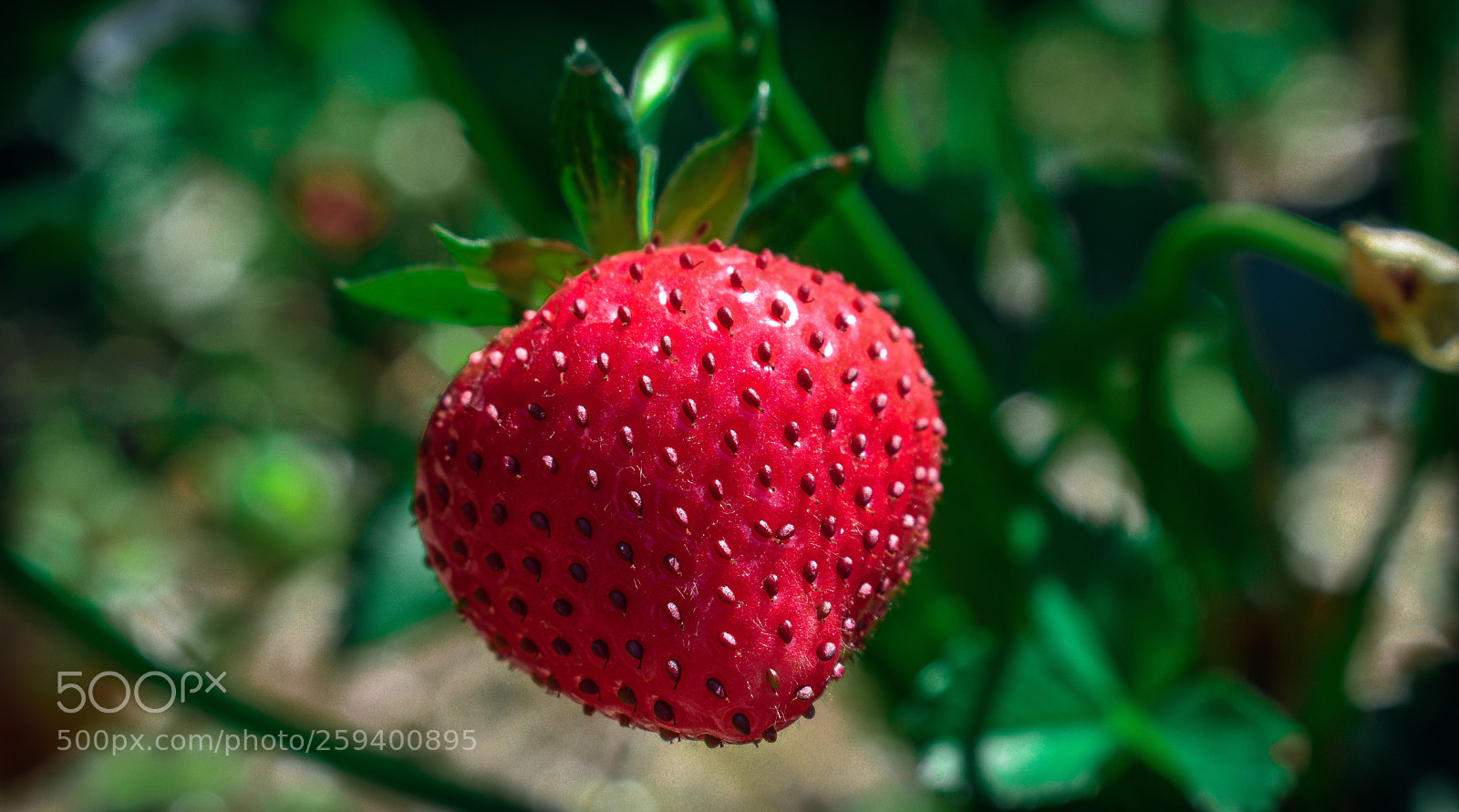 Nikon D3400 sample photo. Untitled photography