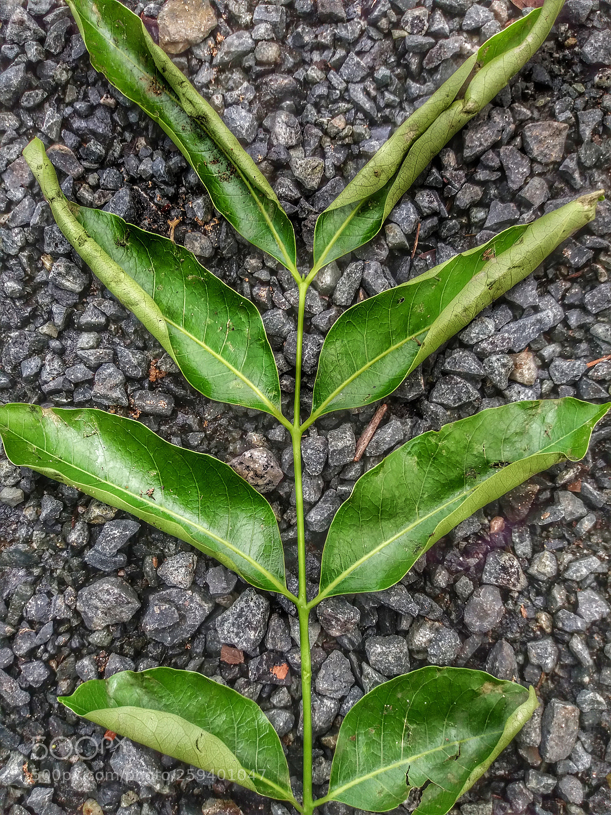 Samsung Galaxy J5 sample photo. Untitled photography