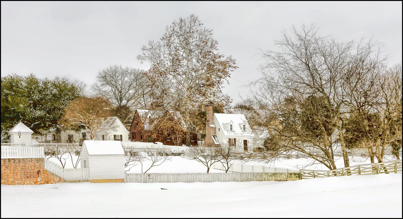Canon EOS 6D sample photo. The snow is deep photography