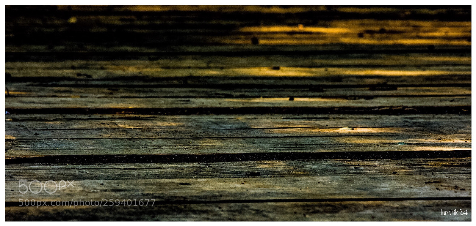 Nikon D7200 sample photo. Holz photography