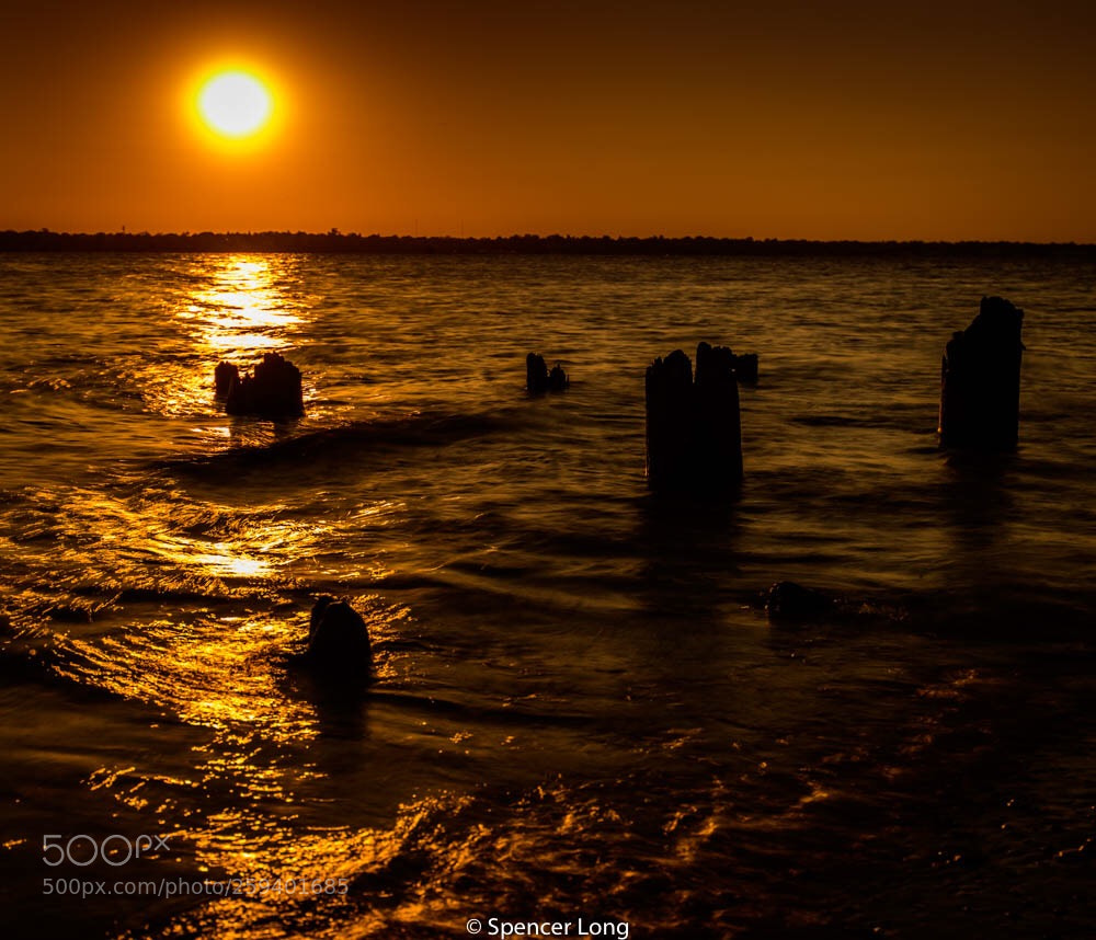 Nikon D850 sample photo. Crescent park photography