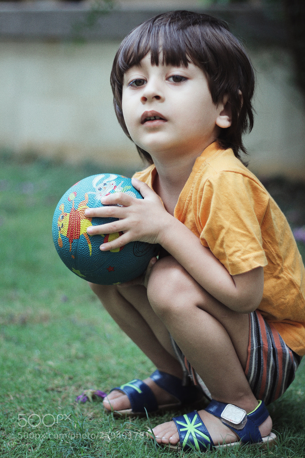 Canon EOS 60D sample photo. Untitled photography