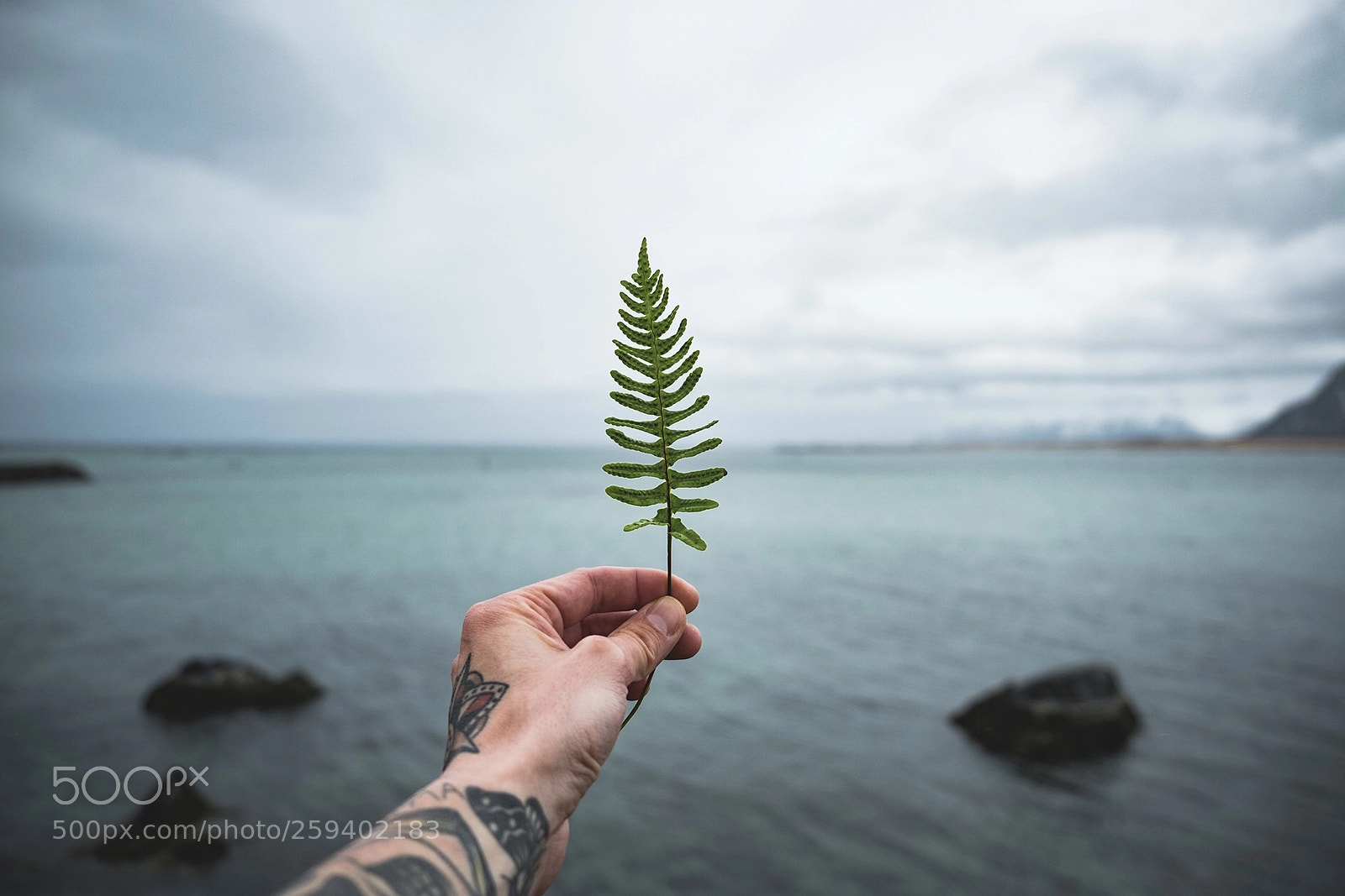 Fujifilm X-T2 sample photo. Small things photography