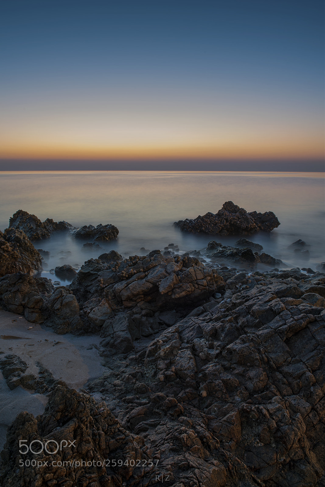 Nikon D750 sample photo. One more light photography