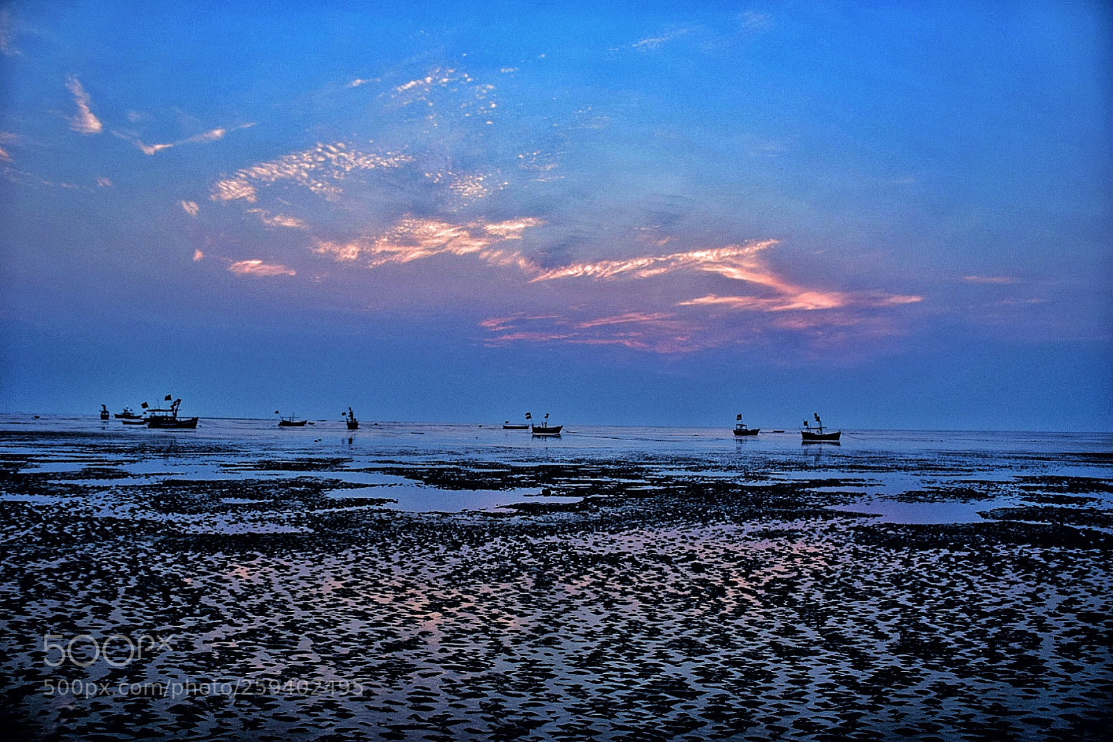 Nikon D5300 sample photo. Untitled photography