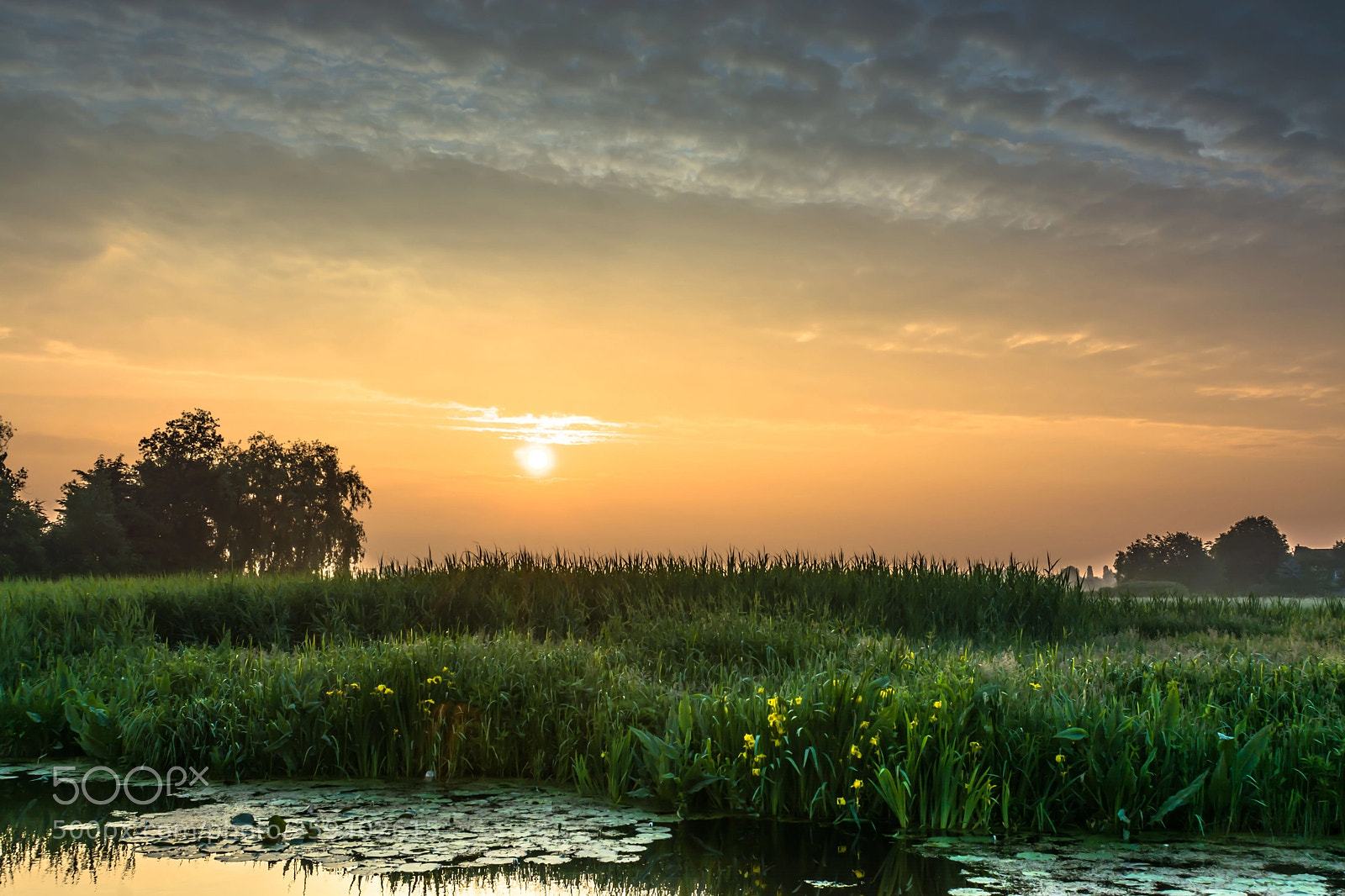 Nikon D7100 sample photo. Good morning photography
