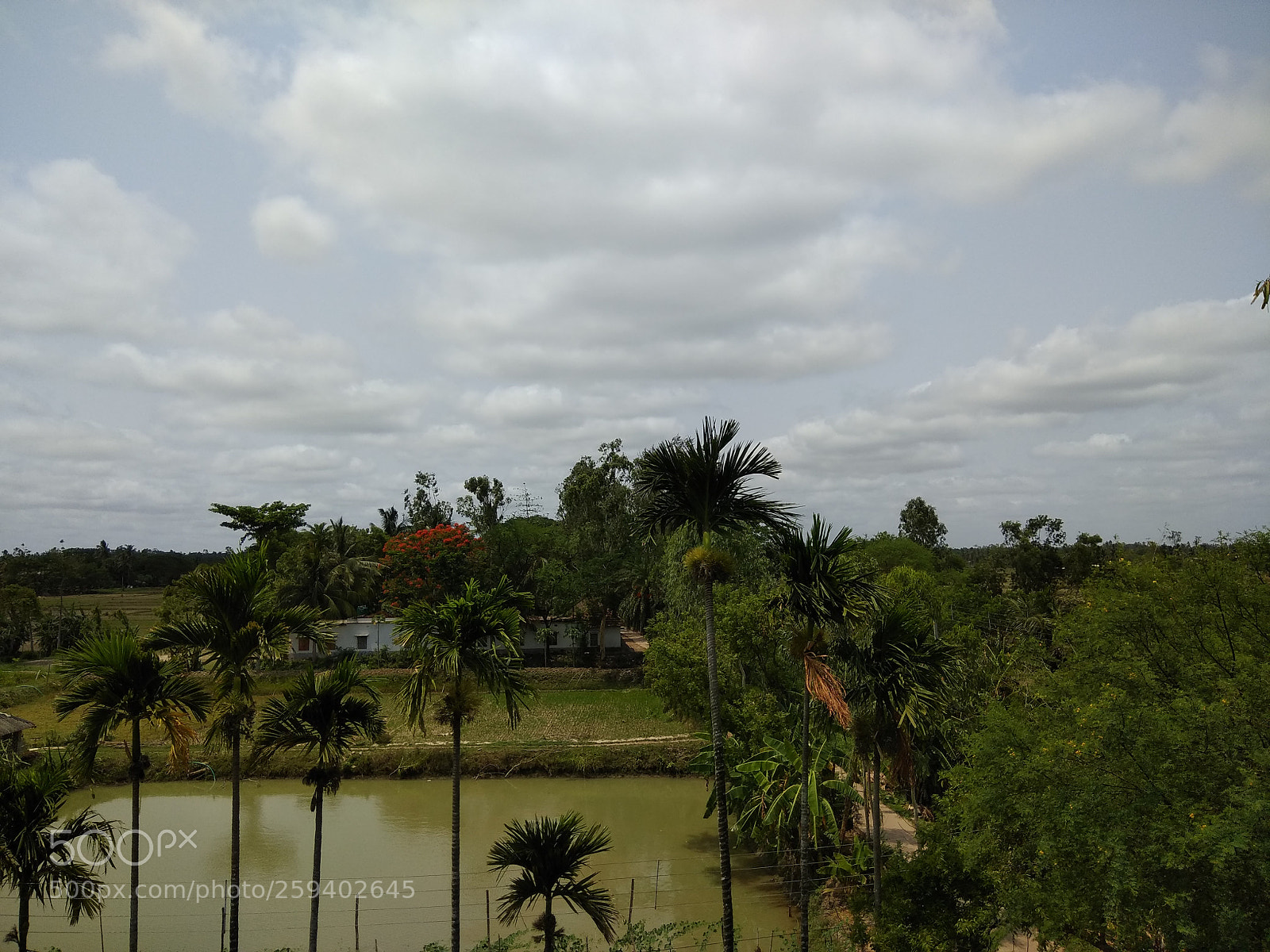 Xiaomi Redmi Note 4 sample photo. Untitled photography
