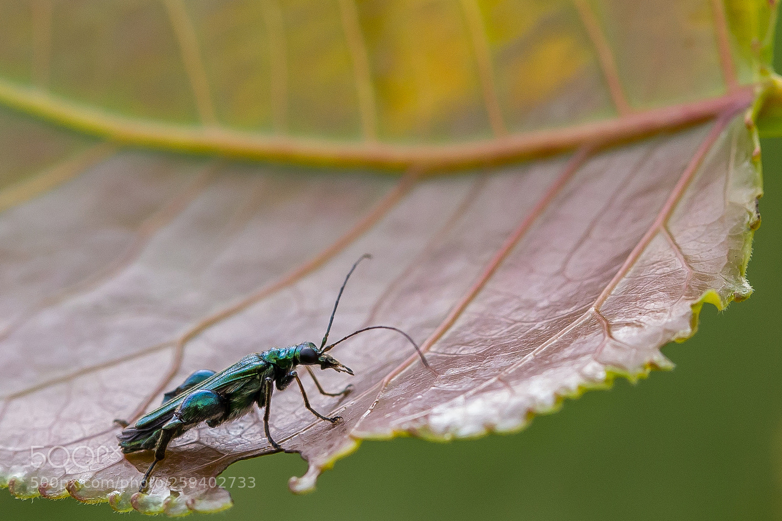 Canon EOS 6D sample photo. Untitled photography