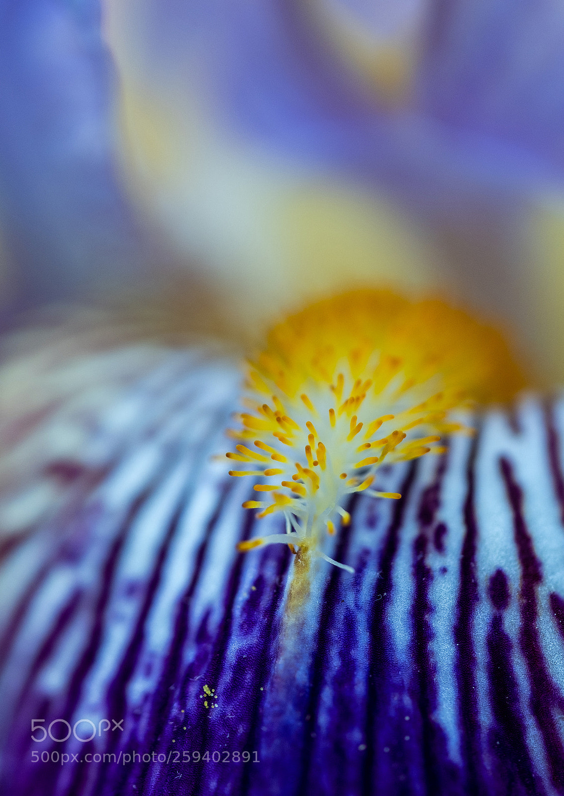 Fujifilm X-T2 sample photo. 3.jpg photography