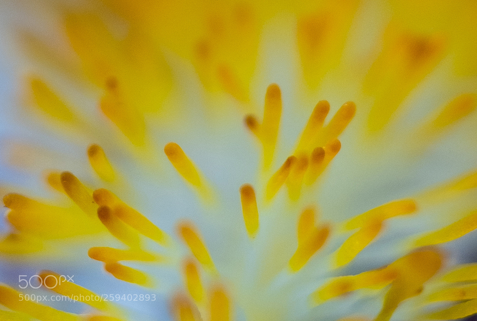 Fujifilm X-T2 sample photo. 2.jpg photography
