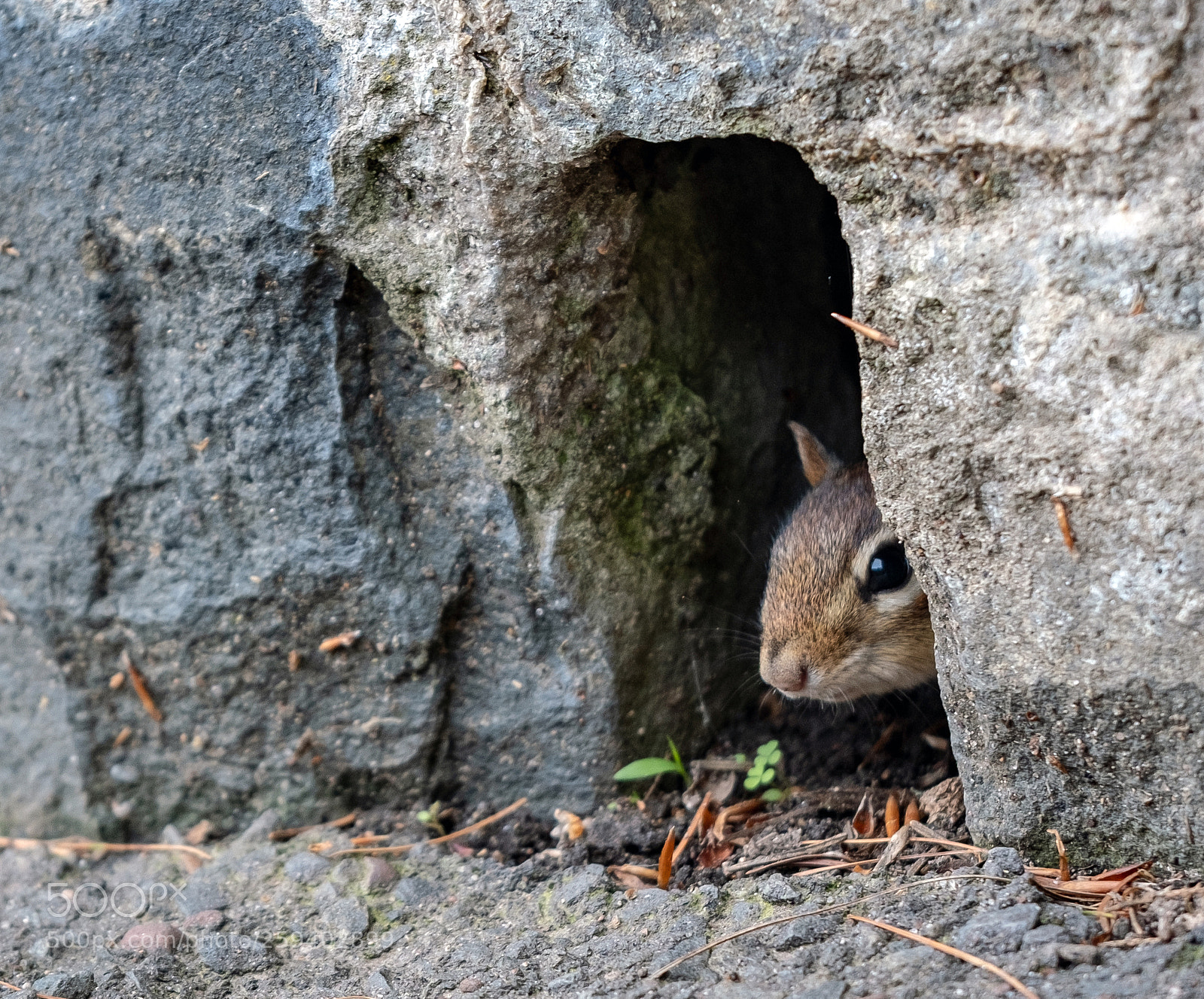 Fujifilm X-T2 sample photo. 5.jpg photography