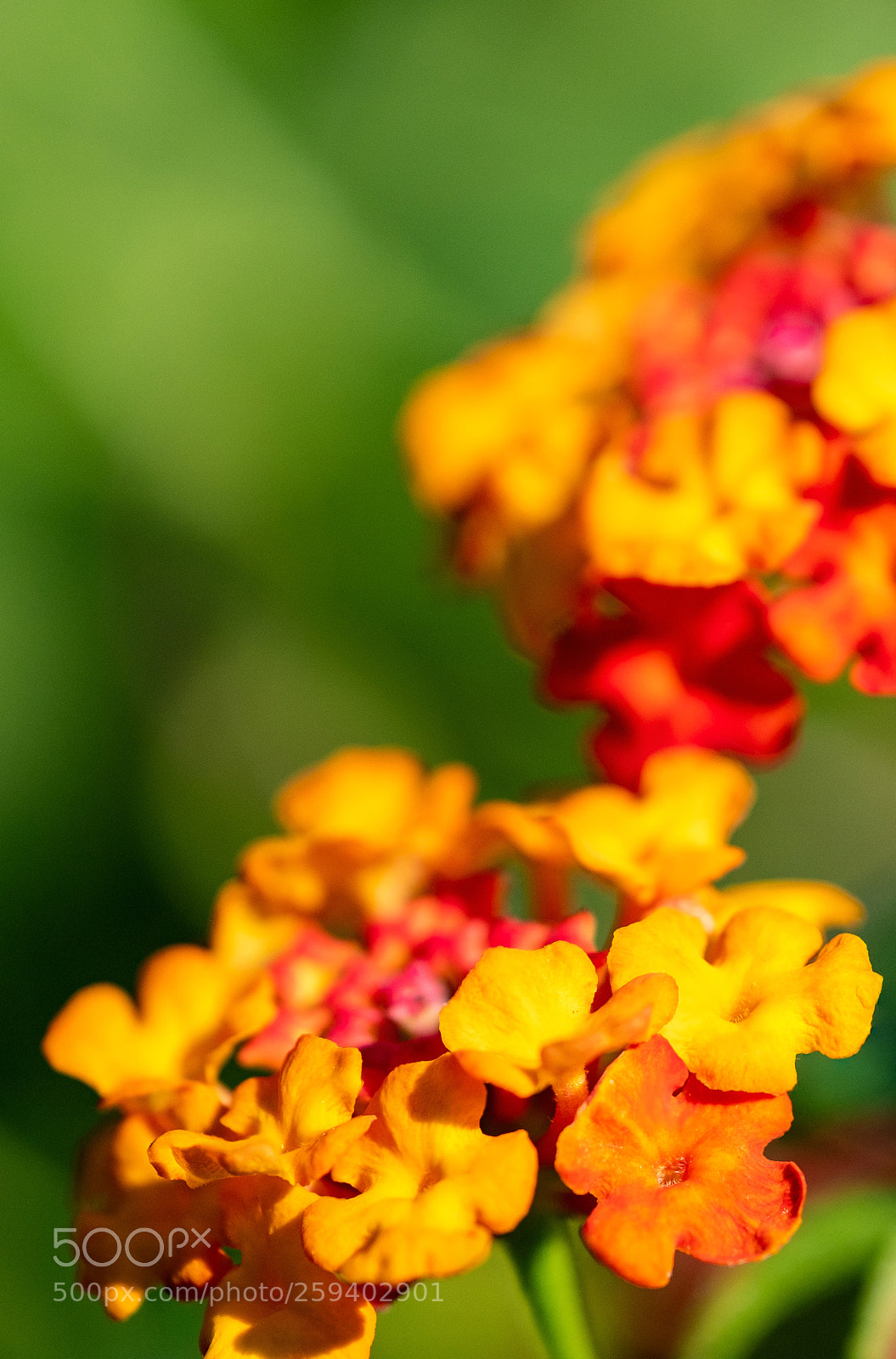 Fujifilm X-T2 sample photo. 6.jpg photography