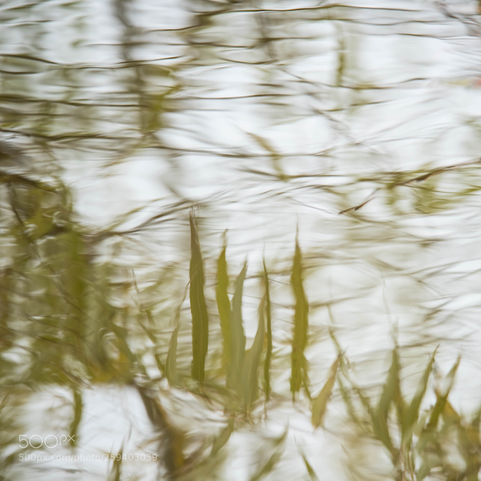 Nikon D810 sample photo. Untitled photography