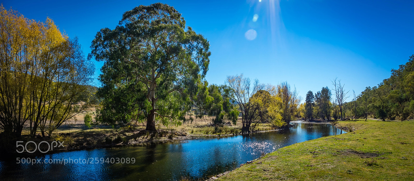 Sony Cyber-shot DSC-RX10 III sample photo. Brindabella valley photography