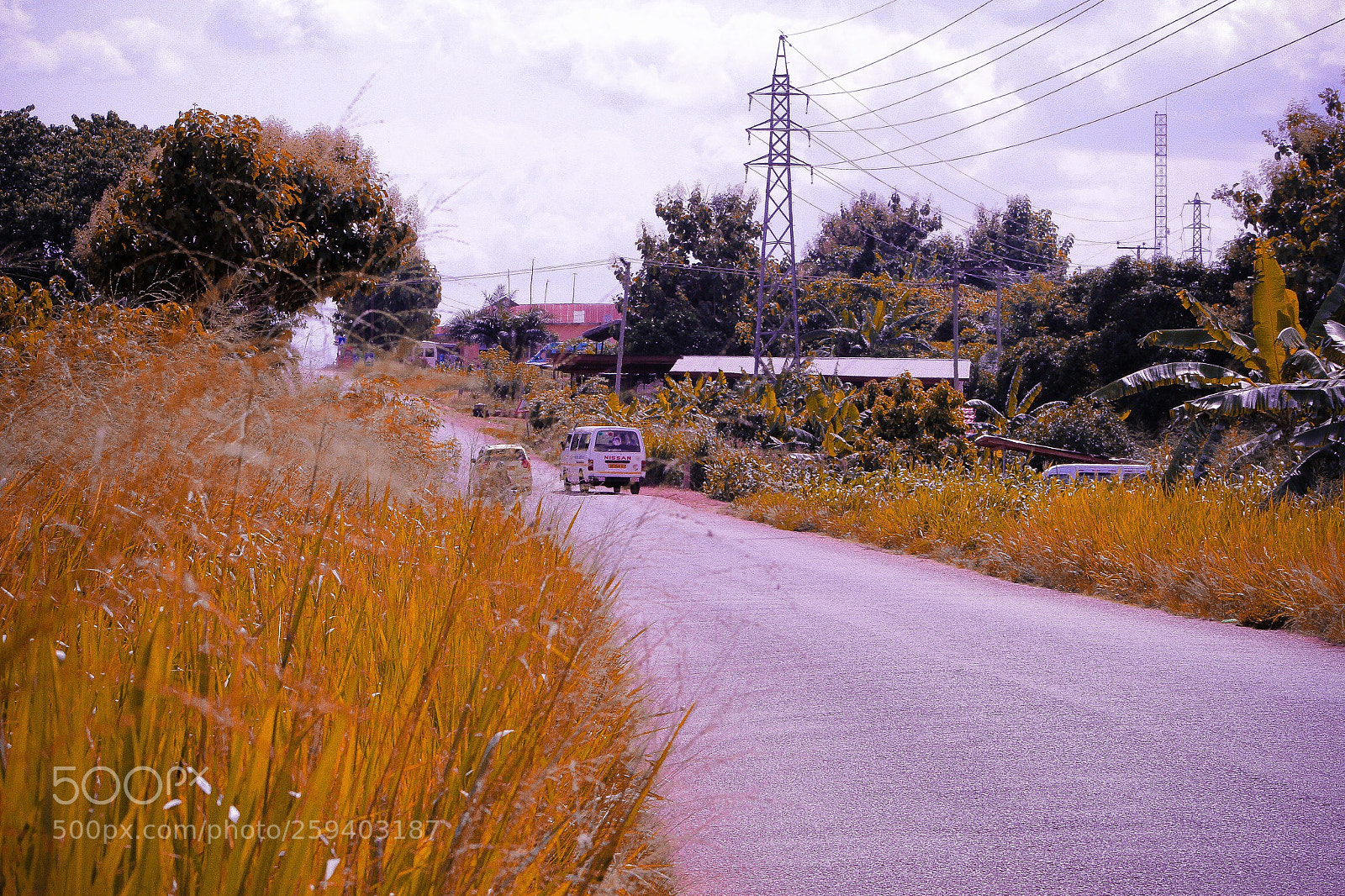 Canon EOS 60D sample photo. Lake road  photography