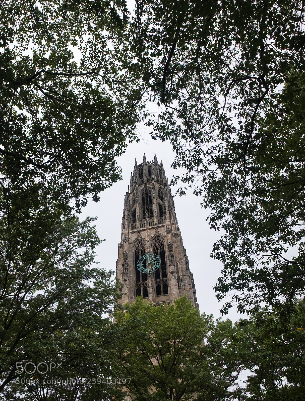 Fujifilm X-T2 sample photo. Yale university photography