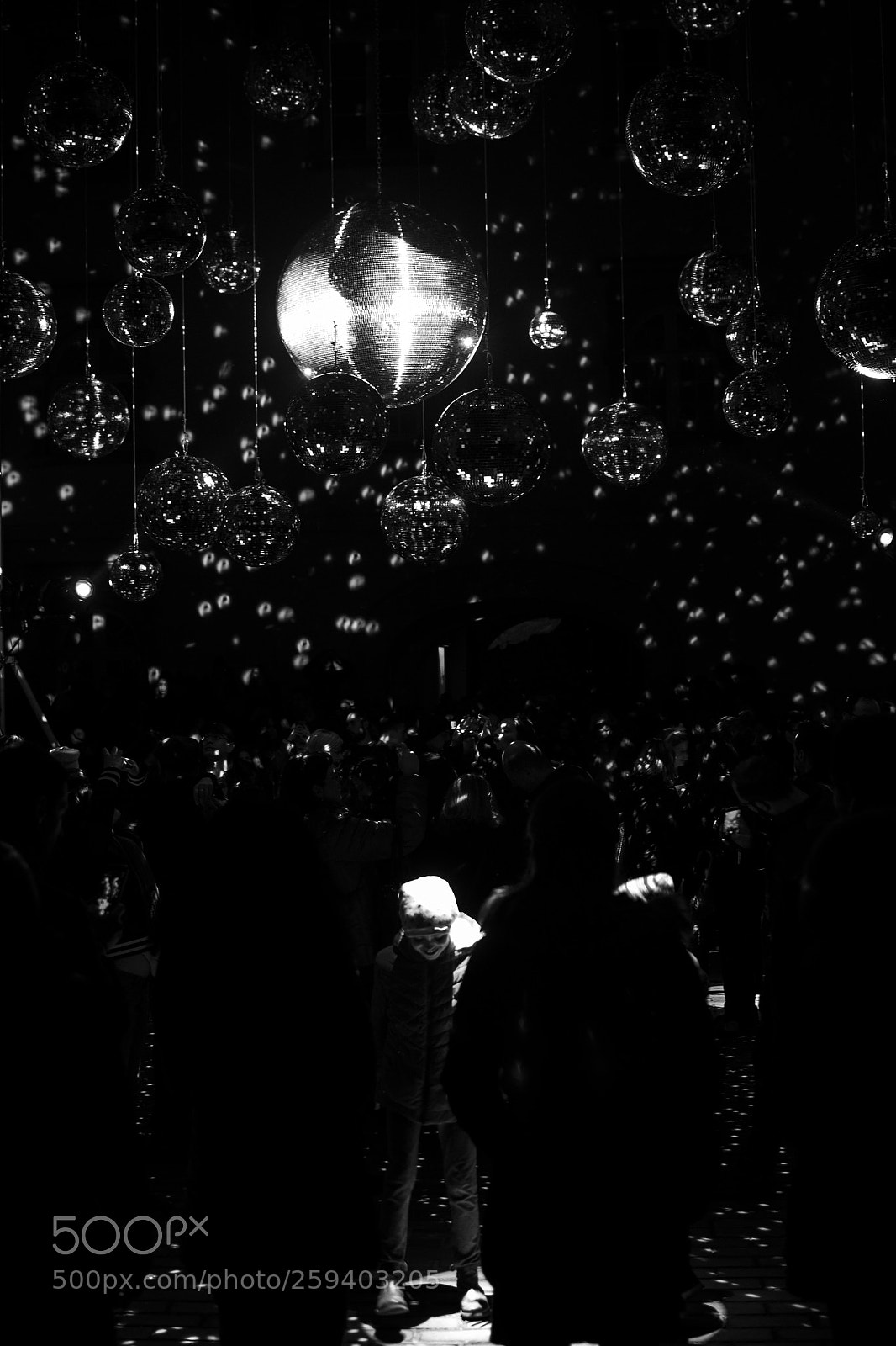 Nikon D3100 sample photo. In the spotlight photography