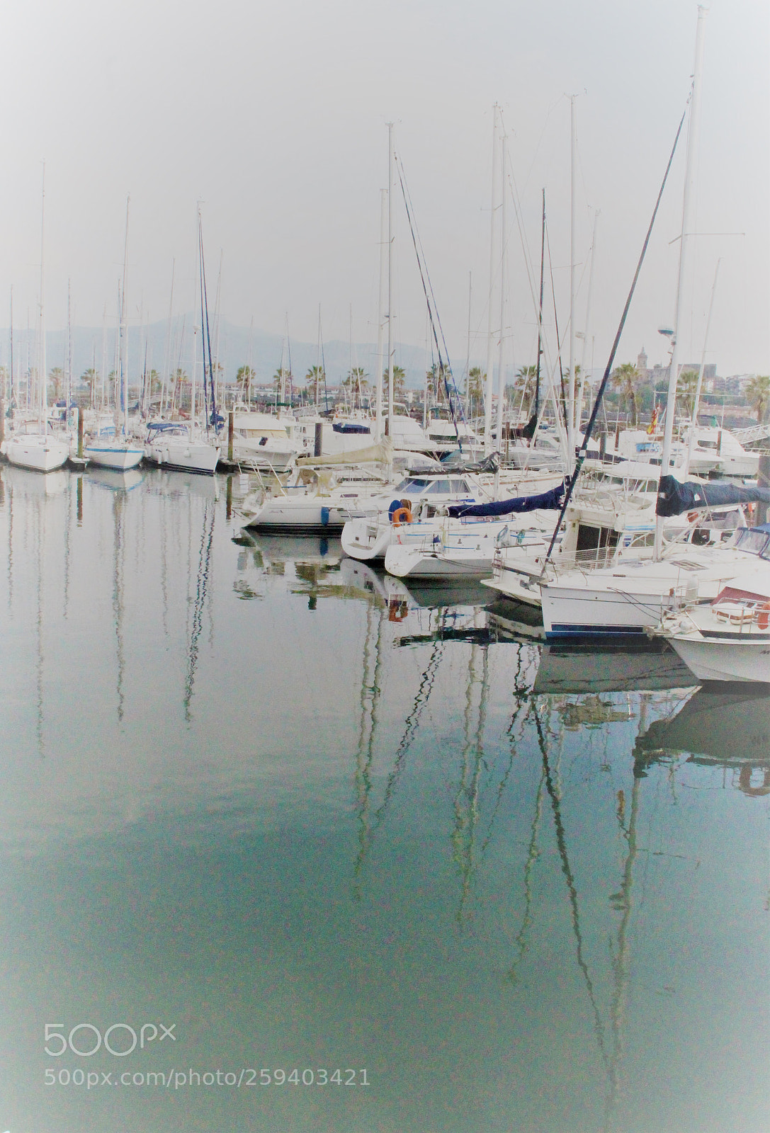Canon EOS 700D (EOS Rebel T5i / EOS Kiss X7i) sample photo. Time to vanish... photography