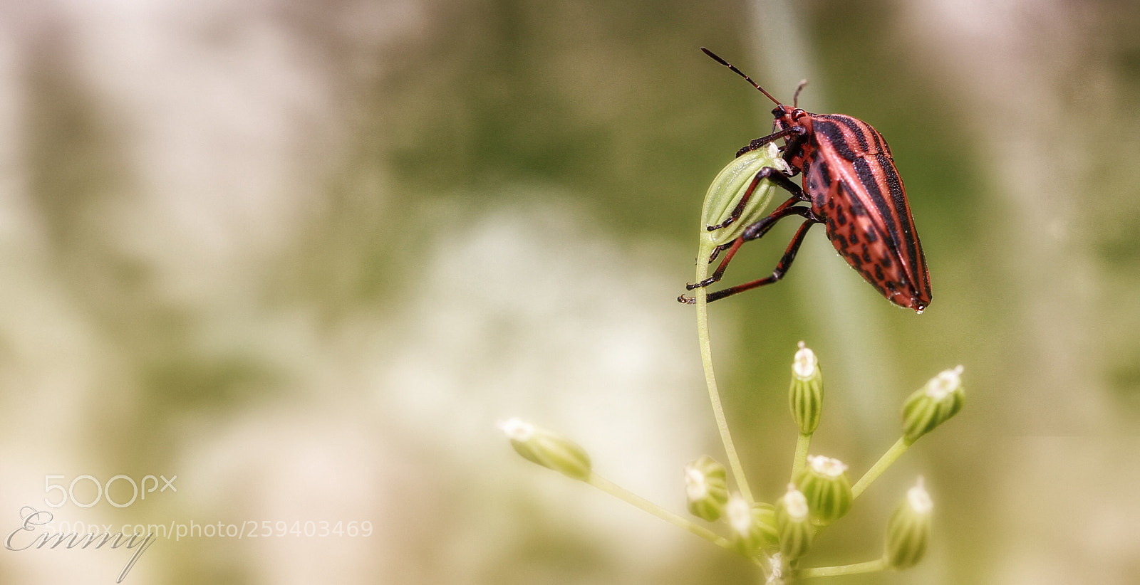 Canon EOS 7D sample photo. Hanging around photography