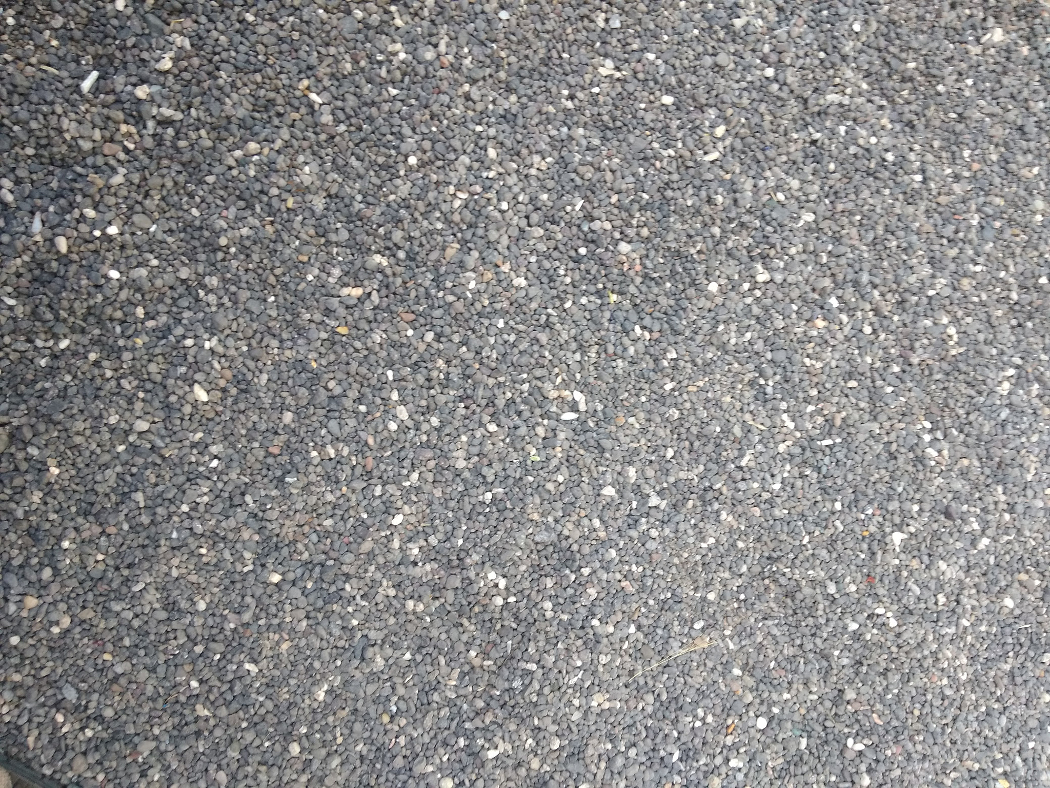 Xiaomi Redmi 4A sample photo