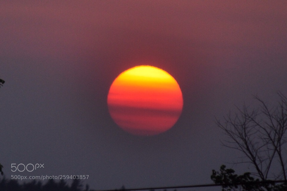 Nikon D5000 sample photo. The glow ball photography