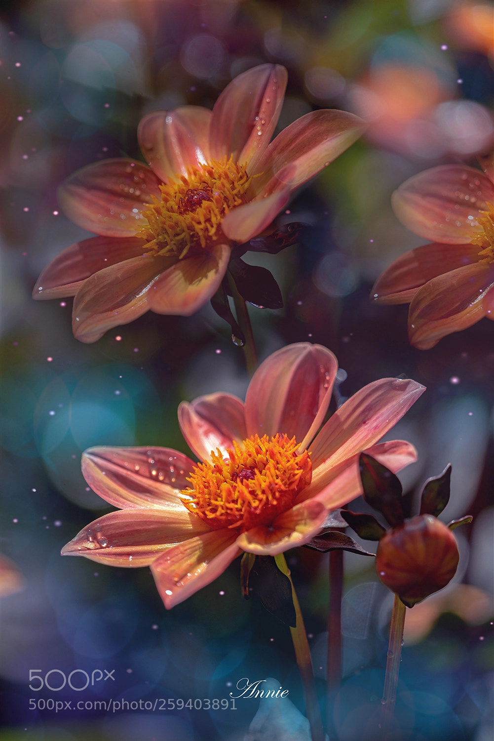 Sony a7R II sample photo. Colorful photography