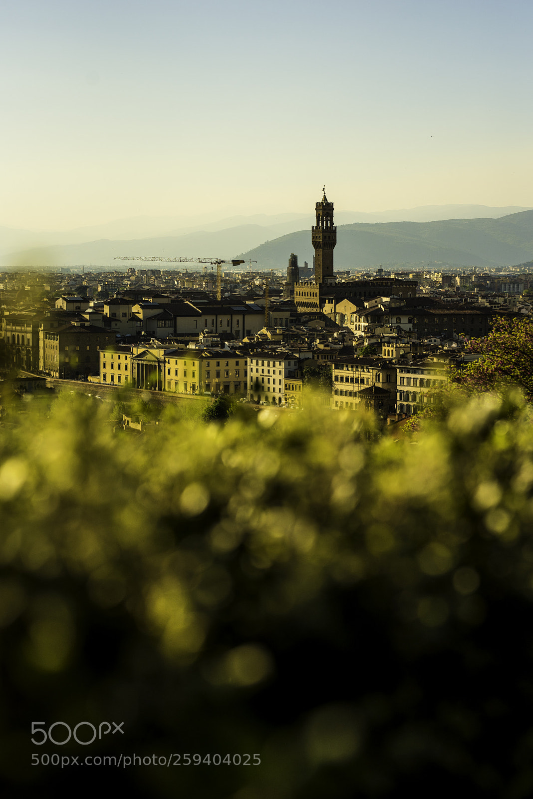 Nikon D750 sample photo. Epic firenze view photography