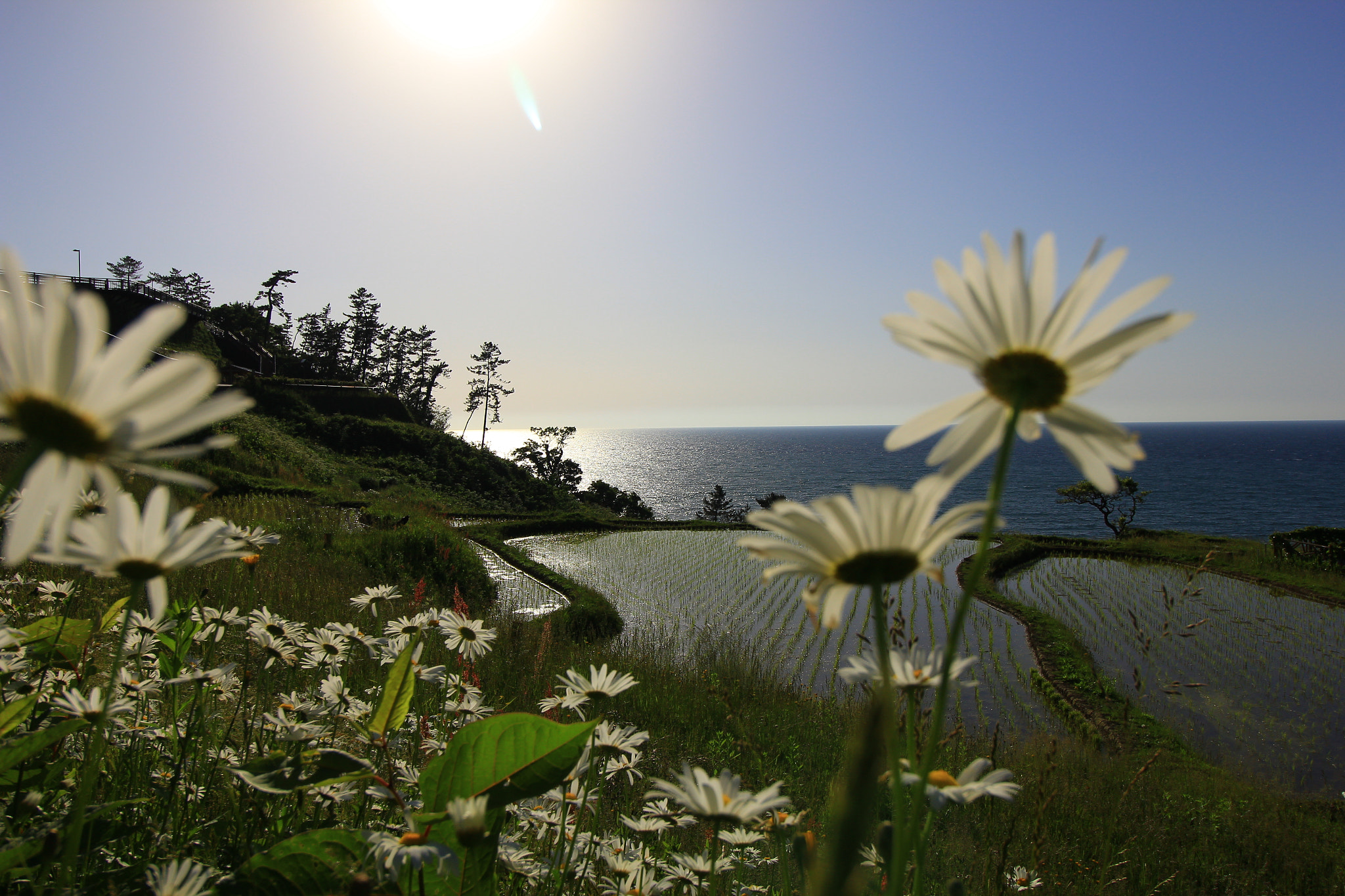 Canon EOS 60D sample photo
