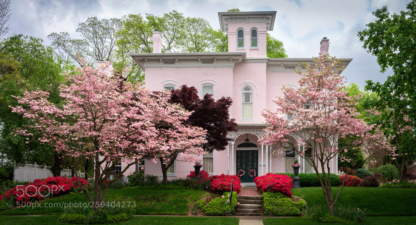 Sony a7R III sample photo. And their favorite color photography